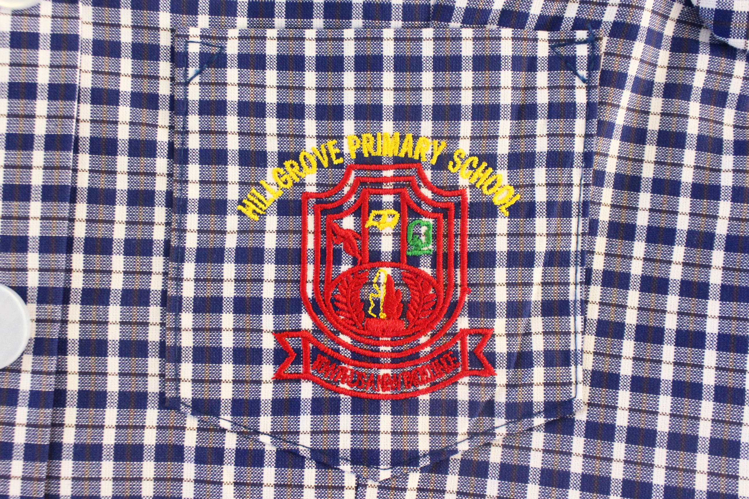 Check Emb Dress - Hillgrove - Image 3