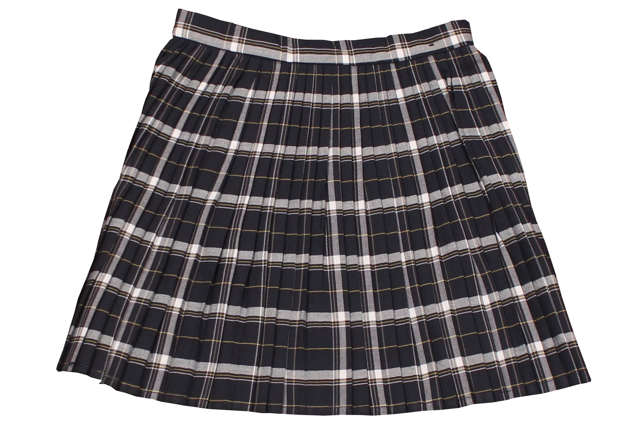 Pleated Skirt - Eden College - Primary - Image 2